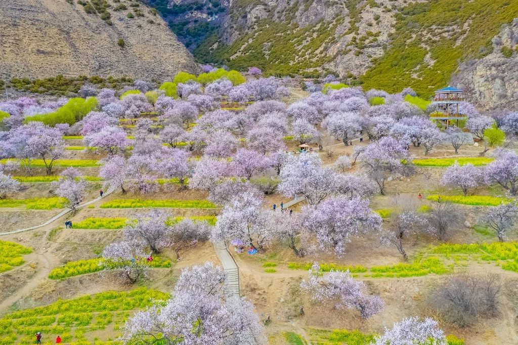 Tibet, where the heart goes, the paradise of dreams