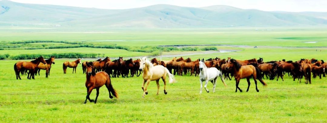 Tibet, where the heart goes, the paradise of dreams