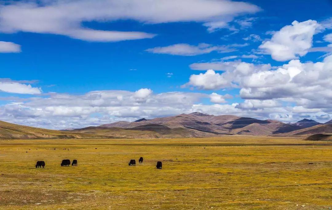 Tibet, where the heart goes, the paradise of dreams