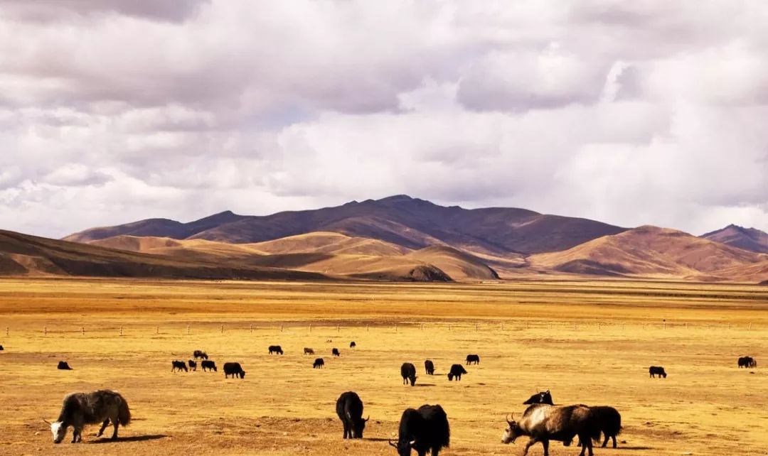 Tibet, where the heart goes, the paradise of dreams