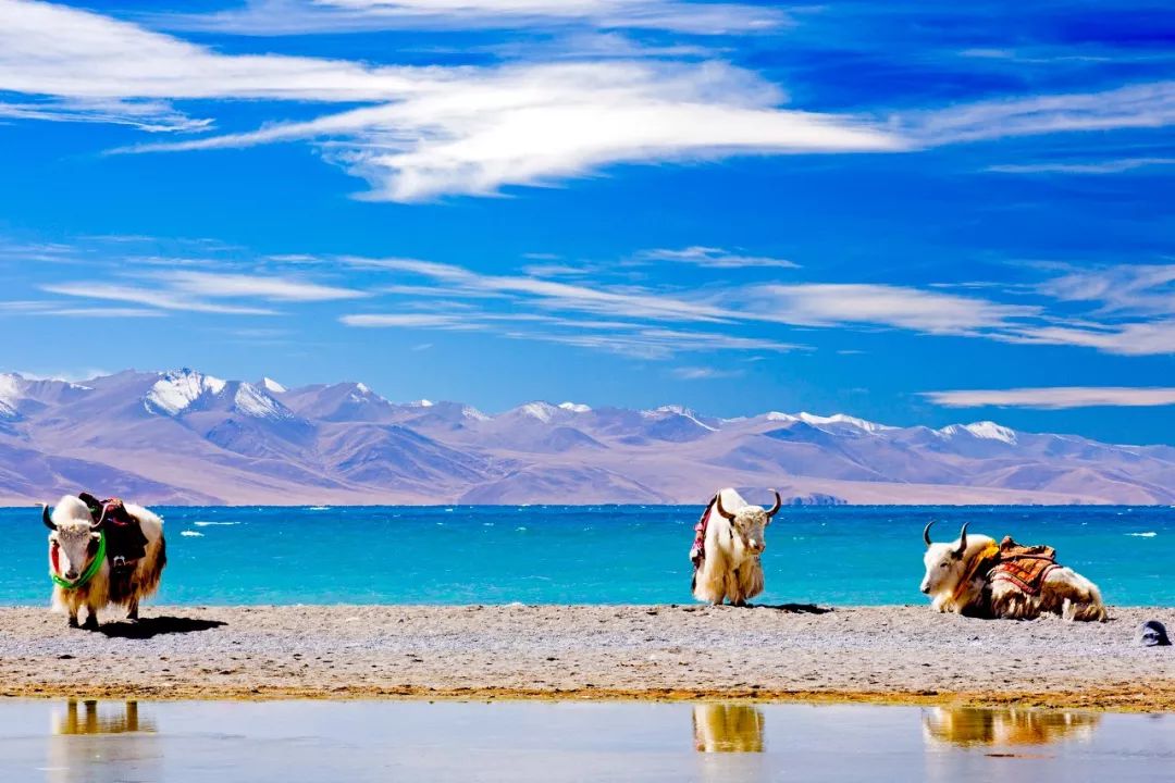 Tibet, where the heart goes, the paradise of dreams