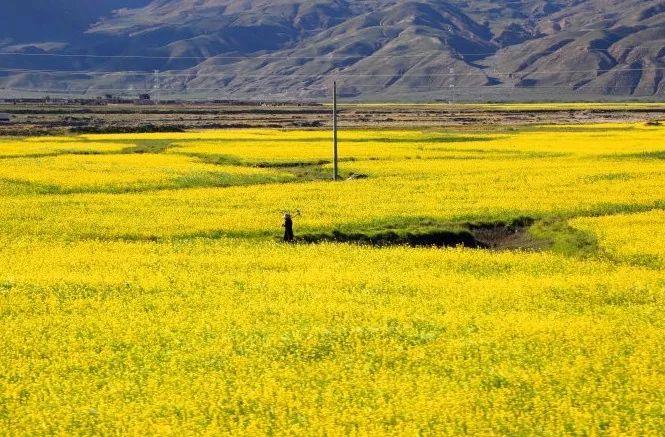 Tibet, where the heart goes, the paradise of dreams