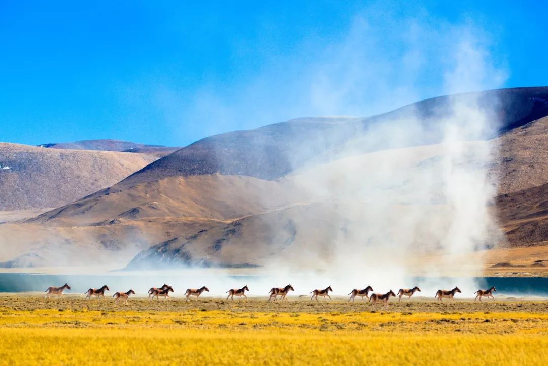 Tibet, where the heart goes, the paradise of dreams