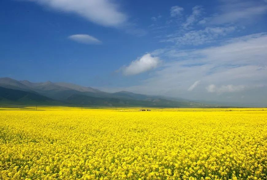 Tibet, where the heart goes, the paradise of dreams