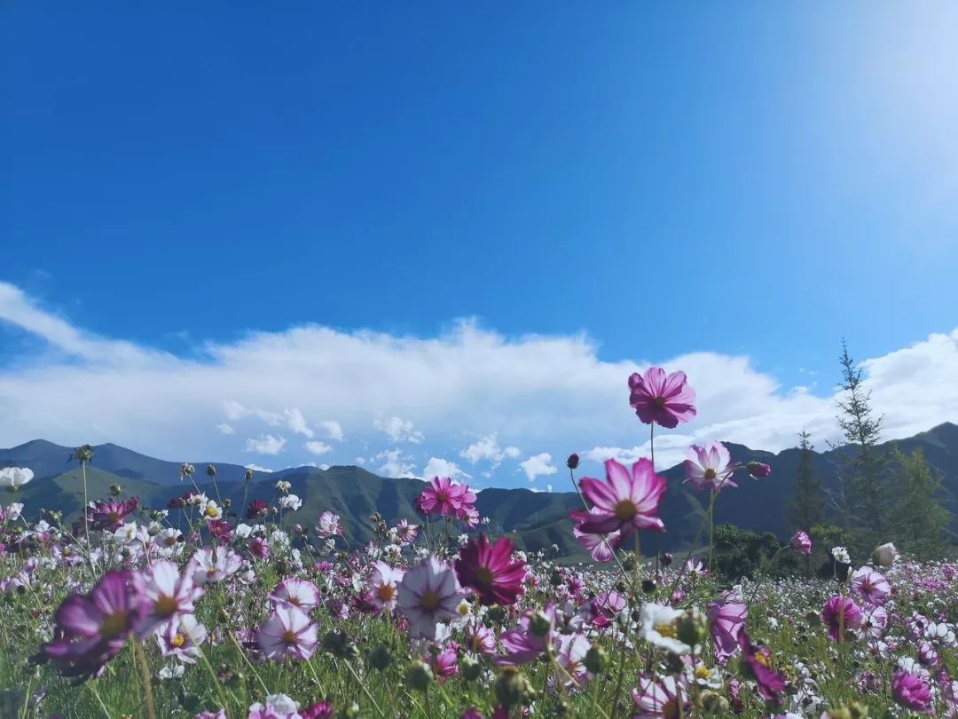 Tibet, where the heart goes, the paradise of dreams