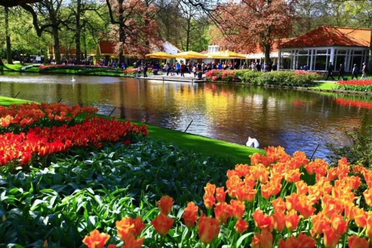 The most successful pastoral complex in the Netherlands - Keukenhof