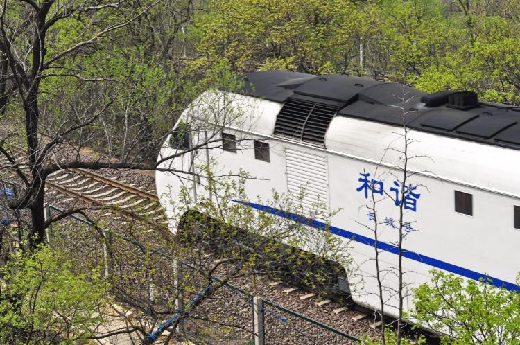 The most beautiful season meets the flower sea train