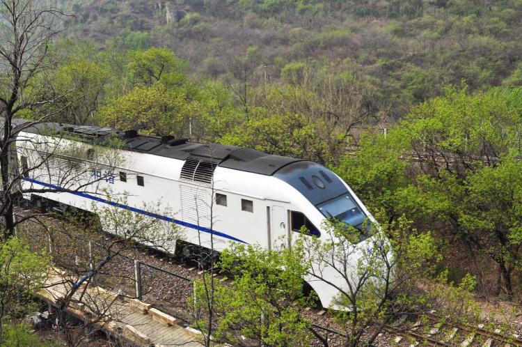 The most beautiful season meets the flower sea train