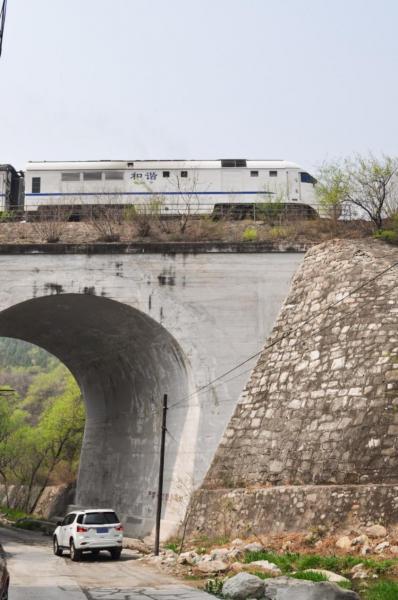 The most beautiful season meets the flower sea train