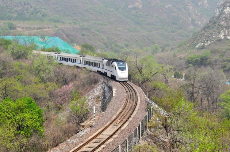 The most beautiful season meets the flower sea train