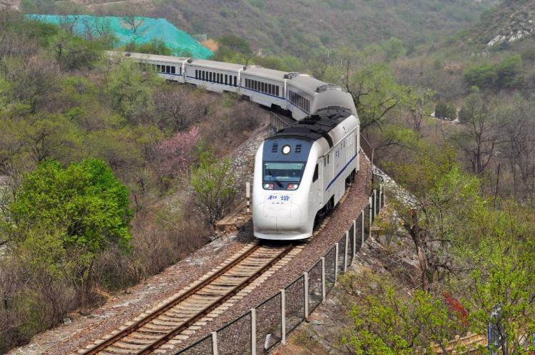 The most beautiful season meets the flower sea train